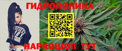 mdpv Гусиноозёрск