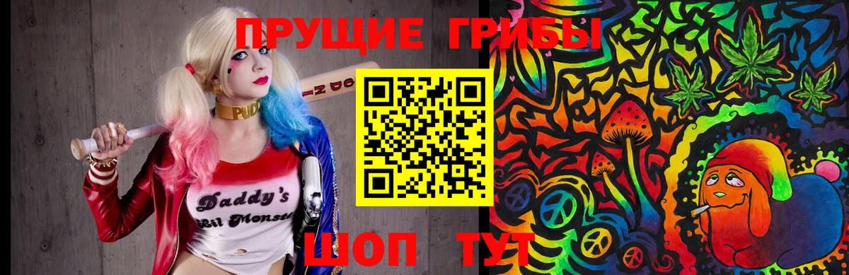 Псилоцибиновые грибы прущие грибы  Вход с VPN  Мыски 
